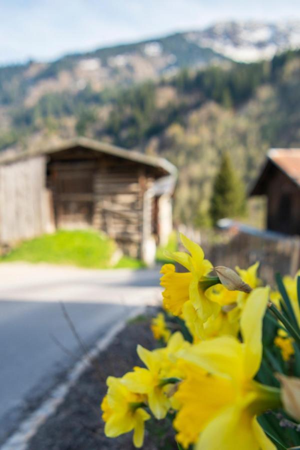 Bed & Breakfast Casa Pasch - Boutique In Cumpadials Sumvitg